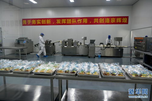 西藏洛隆 以青稞深加工技術開發，鋪就高原特色產業增收路